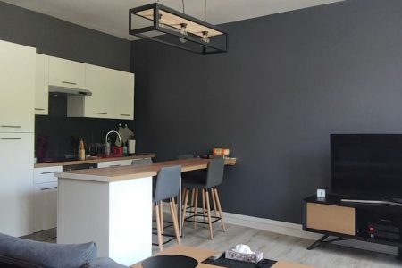 Appartement Hippolyte hyper centre Charleville